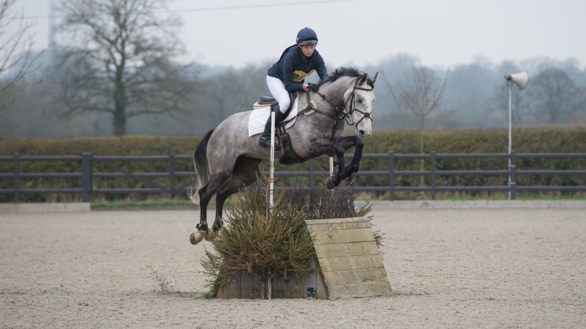 Arena Eventing 2023 Bicton